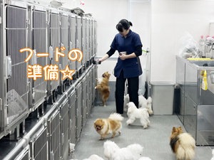 先生たちもモデル犬のお世話☆